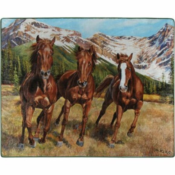 Plush Throw Blanket .................... Wild Horses   Size: 50" x 60" - Picture 3 of 4